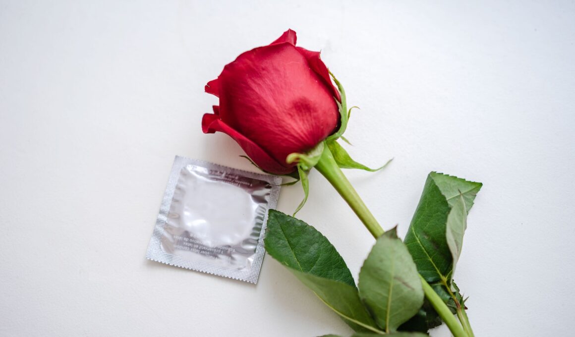 Red Rose on White Surface