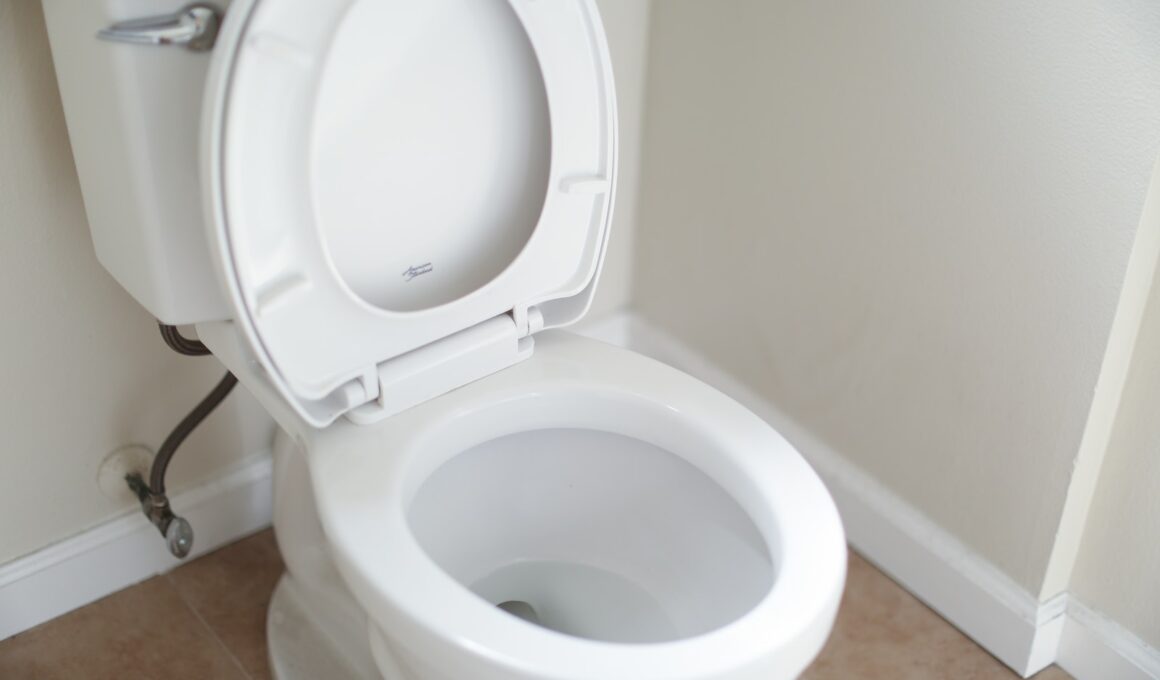 white ceramic toilet bowl with cover