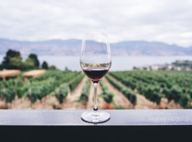 clear wine glass overlooking orchard during daytime