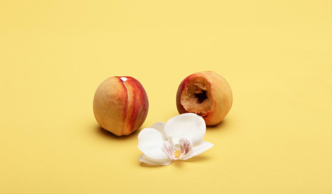 two red and white round fruits