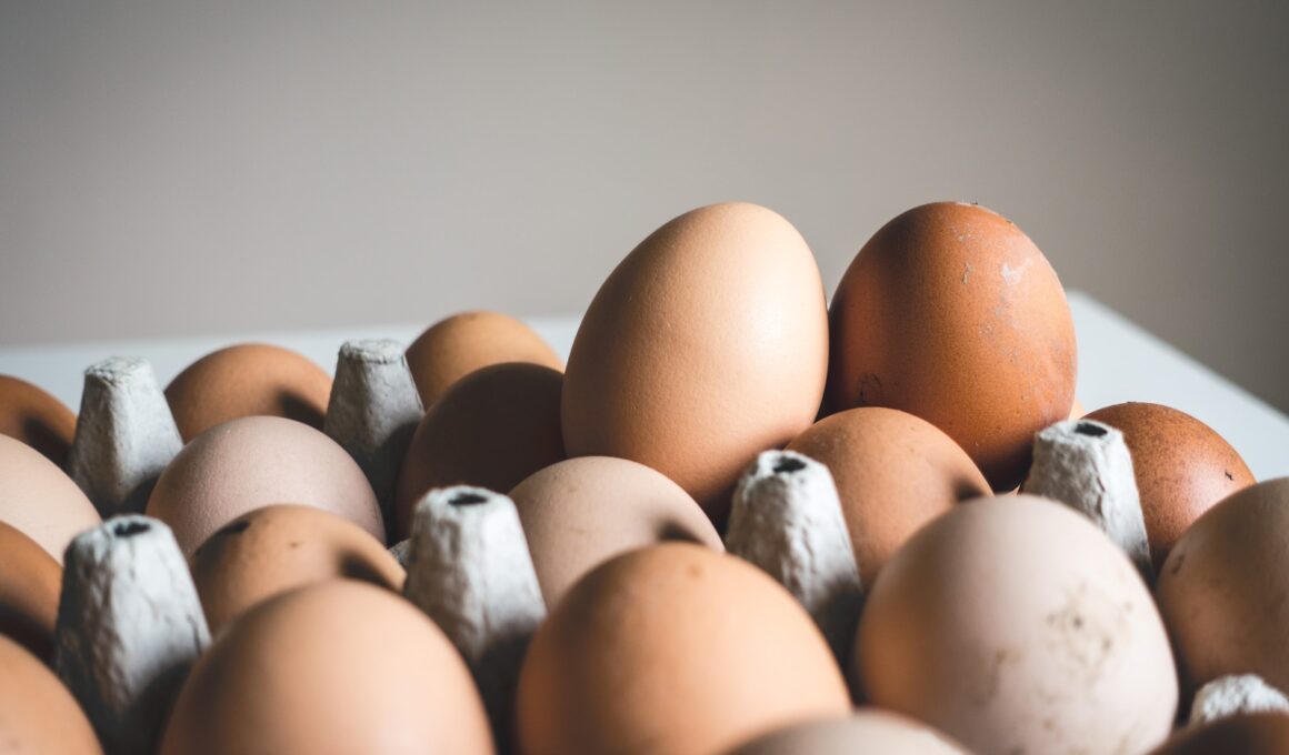 shallow focus photography of brown eggs