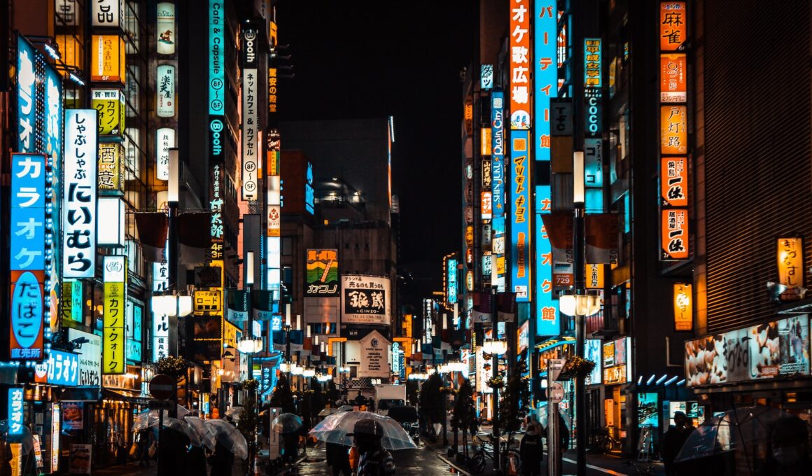 people walking on street during night time