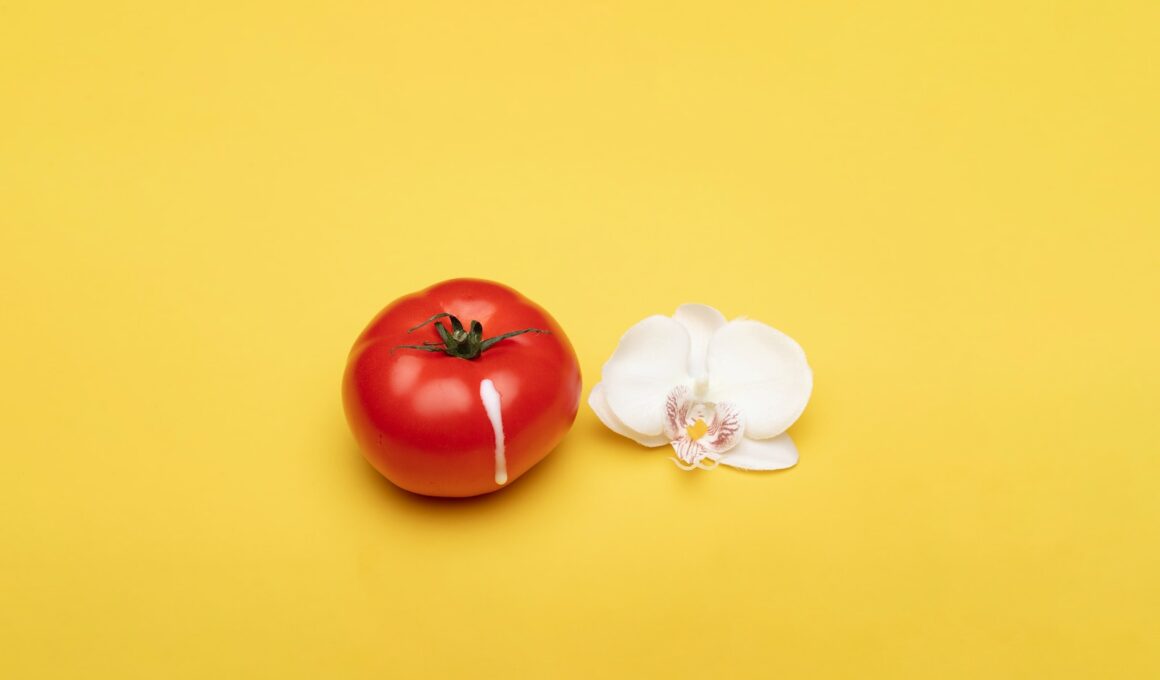 red tomato beside white flower