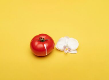 red tomato beside white flower